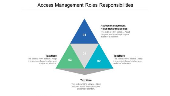 Access Management Roles Responsibilities Ppt PowerPoint Presentation Ideas Example Cpb