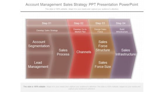 Account Management Sales Strategy Ppt Presentation Powerpoint