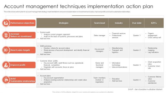 Account Management Techniques Implementation Action Plan Demonstration PDF