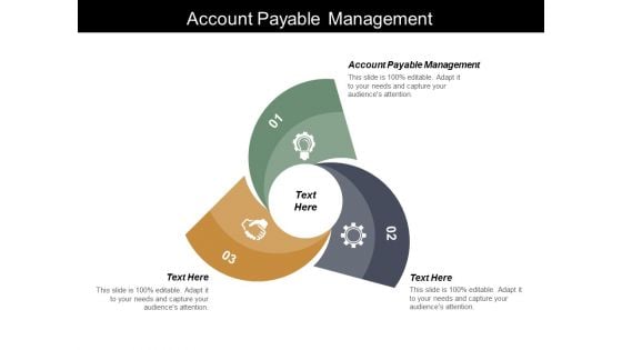 Account Payable Management Ppt PowerPoint Presentation Pictures Graphics