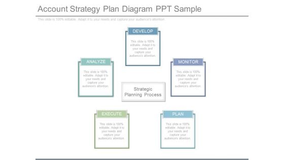 Account Strategy Plan Diagram Ppt Sample