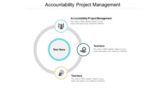 Accountability Project Management Ppt PowerPoint Presentation Professional Example File Cpb