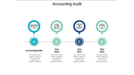 Accounting Audit Ppt PowerPoint Presentation Infographic Template Background Images Cpb