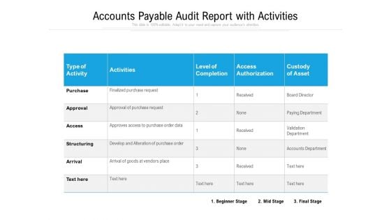 Accounts Payable Audit Report With Activities Ppt PowerPoint Presentation Summary Format Ideas PDF