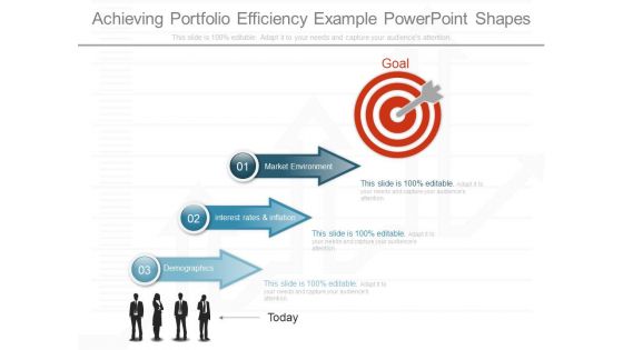 Achieving Portfolio Efficiency Example Powerpoint Shapes