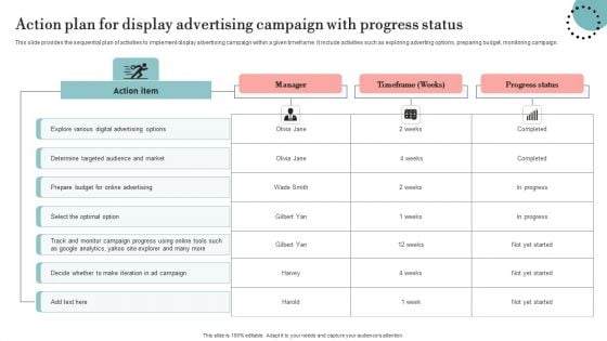 Action Plan For Display Advertising Campaign With Progress Status Topics PDF