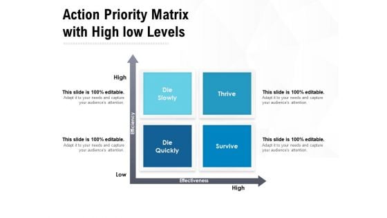 Action Priority Matrix With High Low Levels Ppt PowerPoint Presentation Portfolio Graphic Tips