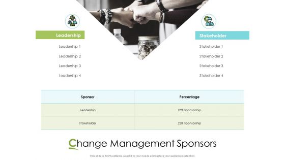 Actual Vs Planned Budget Assessment Change Management Sponsors Ppt PowerPoint Presentation Styles Slide PDF