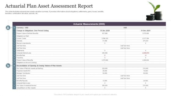 Actuarial Plan Asset Assessment Report Mockup PDF