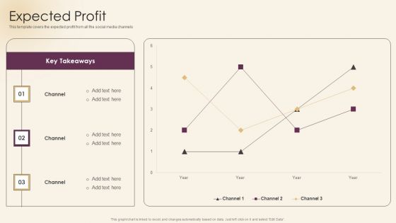 Ad Agency Investor Funding Pitch Presentation Expected Profit Microsoft PDF