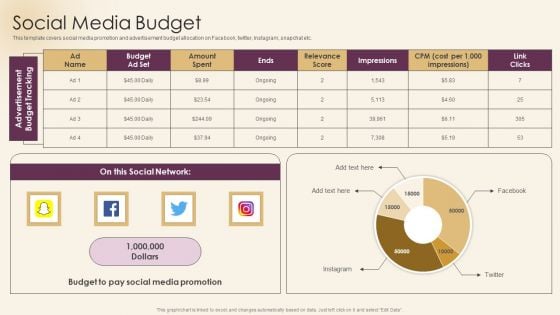 Ad Agency Investor Funding Pitch Presentation Social Media Budget Themes PDF