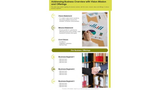 Addressing Business Overview With Vision Mission And Offerings One Pager Documents