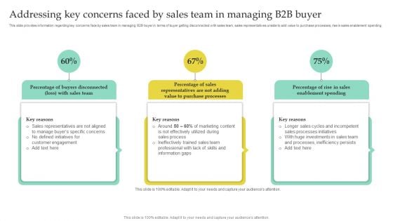 Addressing Key Concerns Faced By Sales Team In Managing B2B Buyer Template PDF