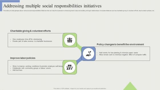 Addressing Multiple Social Responsibilities Initiatives Professional PDF Addressing Multiple Social Responsibilities Initiatives Professional PDF
