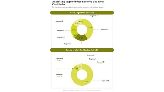 Addressing Segment Wise Revenue And Profit Contribution One Pager Documents