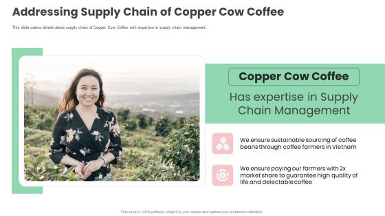 Addressing Supply Chain Of Copper Cow Coffee Portrait PDF