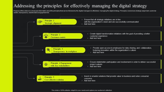 Addressing The Principles For Effectively Managing The Digital Strategy Portrait PDF