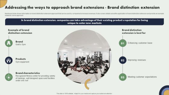 Addressing The Ways To Approach Brand Extensions Brand Distinction Extension Demonstration PDF