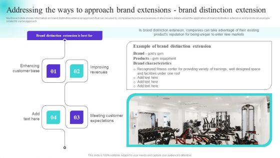 Addressing The Ways To Approach Brand Extensions Brand Distinction Extension Portrait PDF