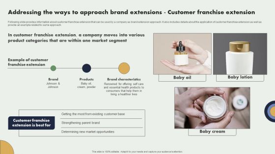 Addressing The Ways To Approach Brand Extensions Customer Franchise Extension Structure PDF