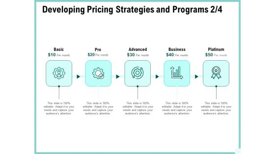 Advertisement Administration Developing Pricing Strategies And Programs Ppt Pictures Graphics PDF