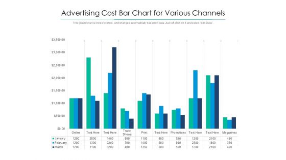 Advertising Cost Bar Chart For Various Channels Ppt PowerPoint Presentation File Sample PDF