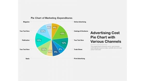 Advertising Cost Pie Chart With Various Channels Ppt PowerPoint Presentation File Styles PDF