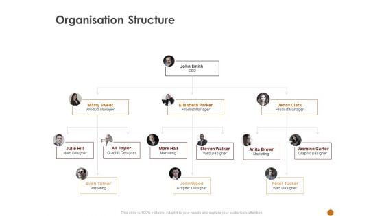 Advertising Existing Products And Services In The Target Market Organisation Structure Ppt Model Skills PDF