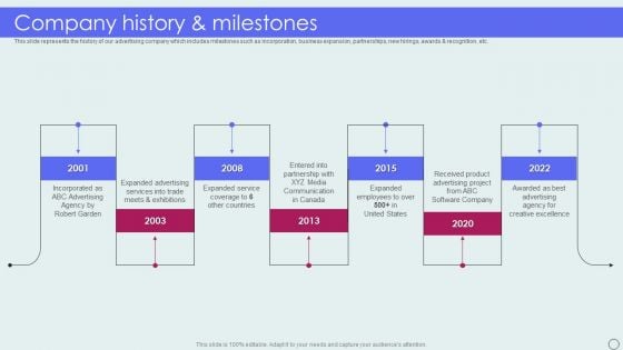 Advertising Solutions Company Details Company History And Milestones Diagrams PDF