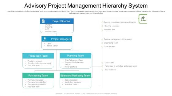 Advisory Project Management Hierarchy System Ppt PowerPoint Presentation File Portfolio PDF