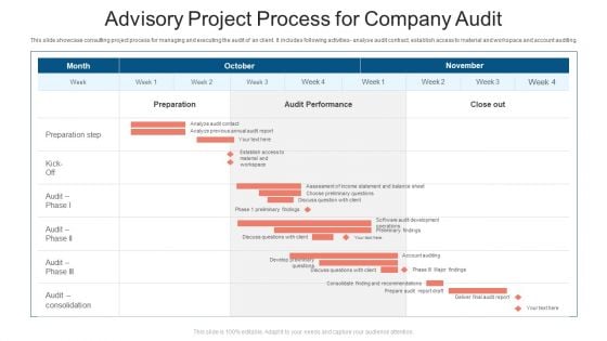 Advisory Project Process For Company Audit Ppt PowerPoint Presentation File Guidelines PDF