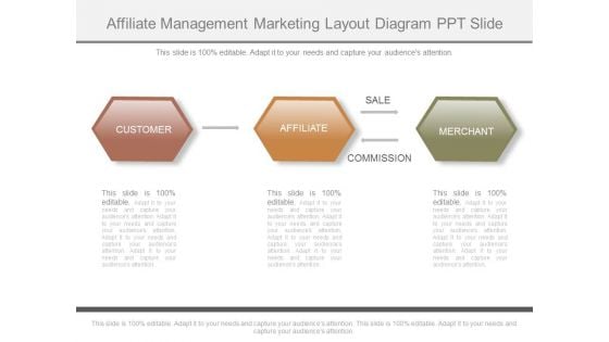 Affiliate Management Marketing Layout Diagram Ppt Slide Affiliate Management Marketing Layout Diagram Ppt Slide
