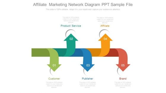 Affiliate Marketing Network Diagram Ppt Sample File