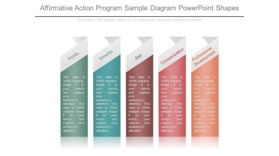 Affirmative Action Program Sample Diagram Powerpoint Shapes