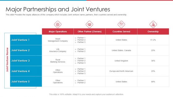 After IPO Equity Major Partnerships And Joint Ventures Elements PDF