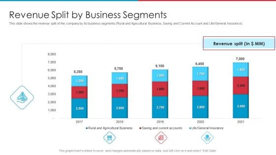 After IPO Equity Revenue Split By Business Segments Ppt Infographic Template Layout PDF