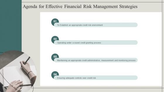 Agenda For Effective Financial Risk Management Strategies Elements PDF