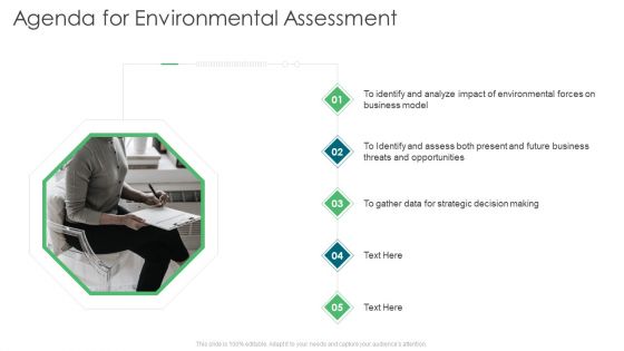 Agenda For Environmental Assessment Ppt Gallery Slide Download PDF