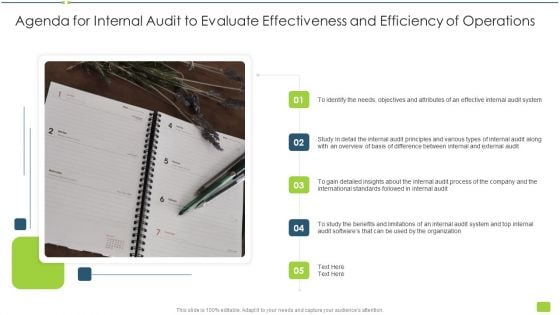 Agenda For Internal Audit To Evaluate Effectiveness And Efficiency Of Operations Ppt Summary Layout Ideas PDF