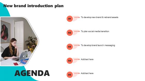 Agenda New Brand Introduction Plan Summary PDF