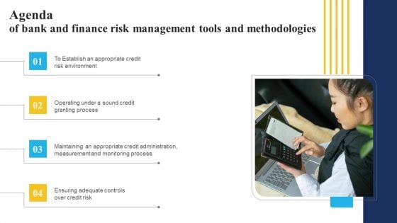 Agenda Of Bank And Finance Risk Management Tools And Methodologies Icons PDF