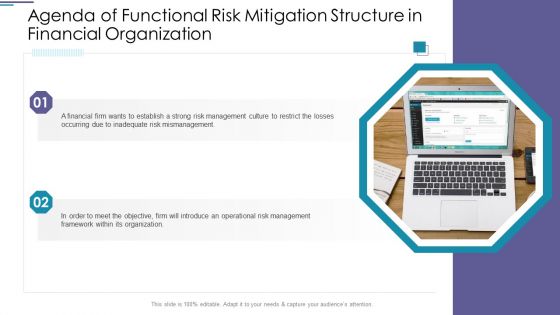 Agenda Of Functional Risk Mitigation Structure In Financial Organization Guidelines PDF