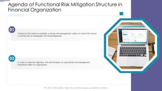 Agenda Of Functional Risk Mitigation Structure In Financial Organization Guidelines PDF