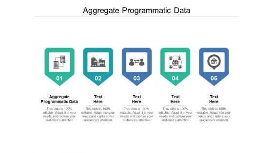 Aggregate Programmatic Data Ppt PowerPoint Presentation Background Designs Cpb