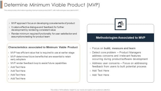 Agile Approach To Digital Transformation IT Determine Minimum Viable Product Mvp Introduction PDF