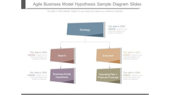 Agile Business Model Hypothesis Sample Diagram Slides