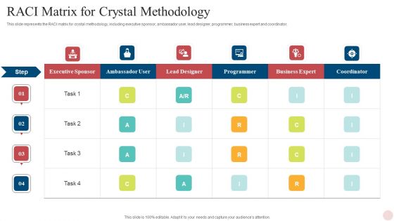 Agile Crystal Techniques RACI Matrix For Crystal Methodology Pictures PDF