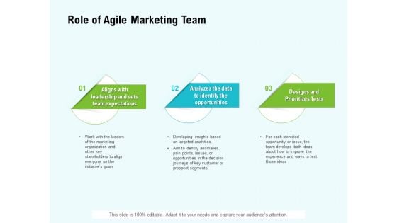 Agile Marketing Guide Role Of Agile Marketing Team Ppt Ideas Designs PDF