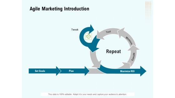 Agile Marketing Introduction Ppt Ideas Graphics PDF