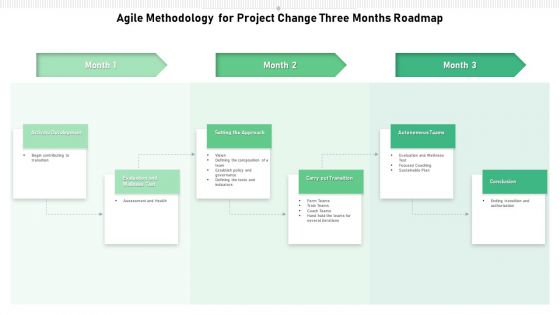 Agile Methodology For Project Change Three Months Roadmap Ideas